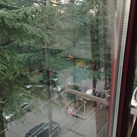 Apartment Ge Zvezda 巴统 外观 照片